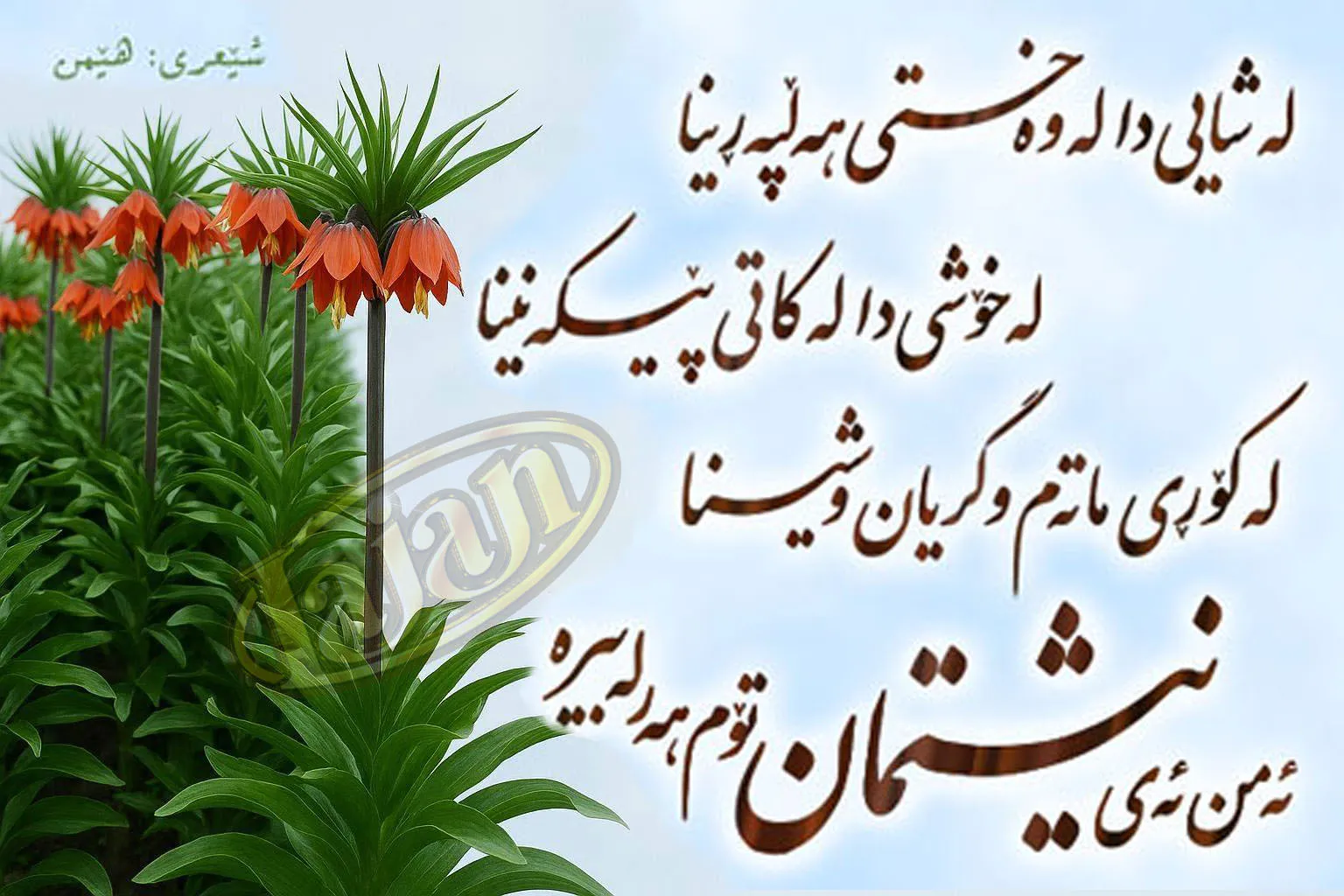 نیشتمان