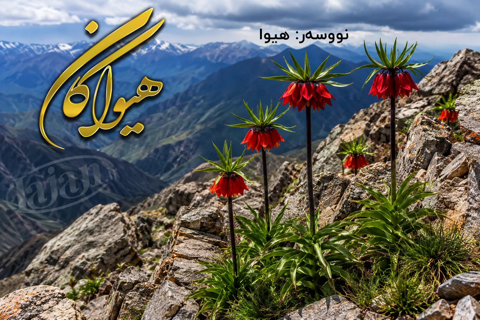 هیواکان