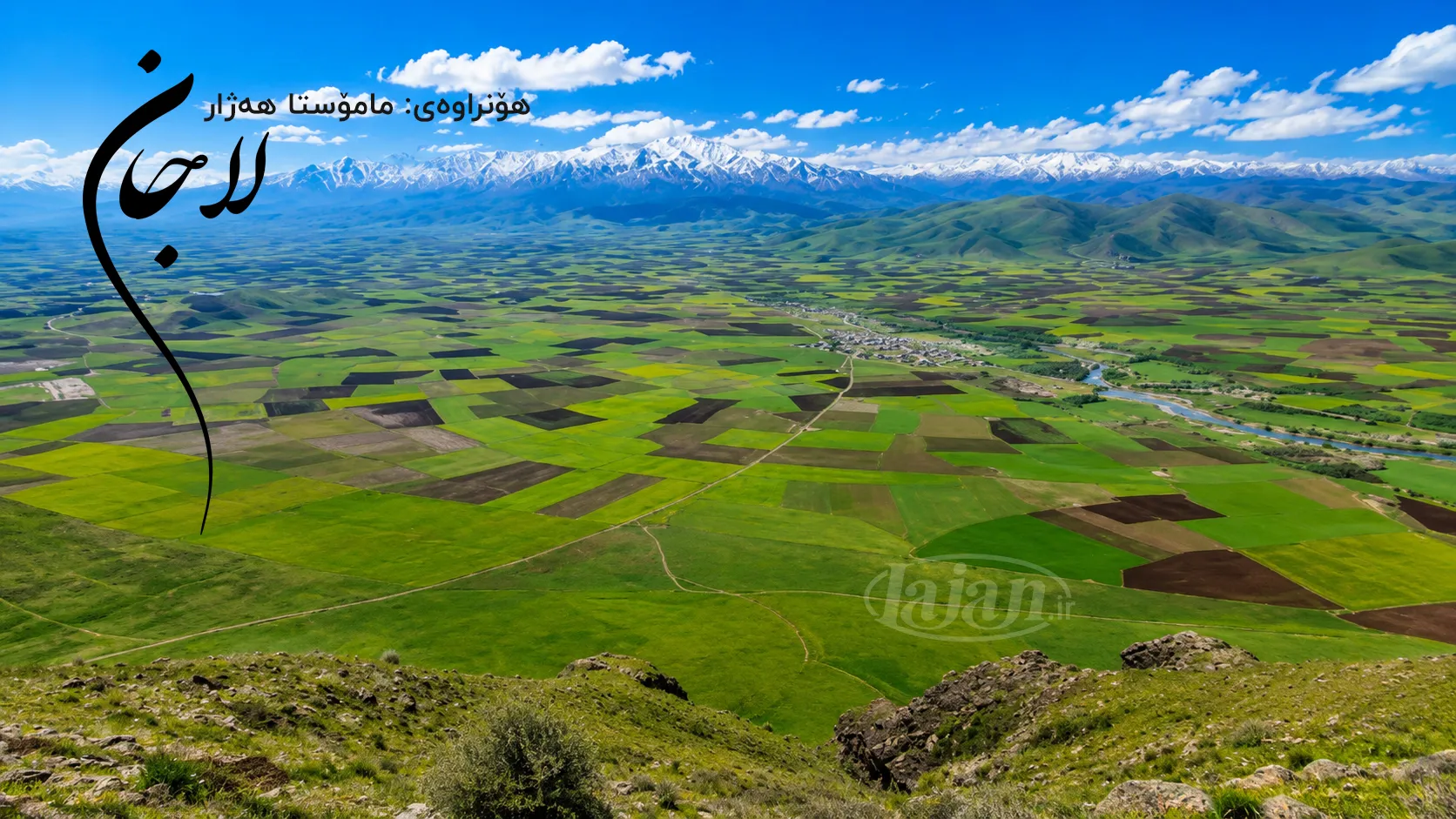 لاجان
