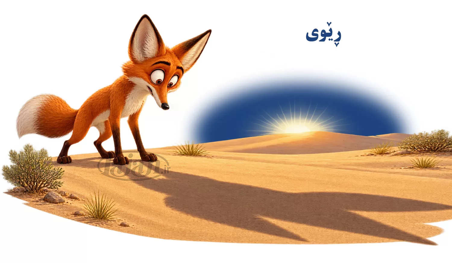 ڕێوی
